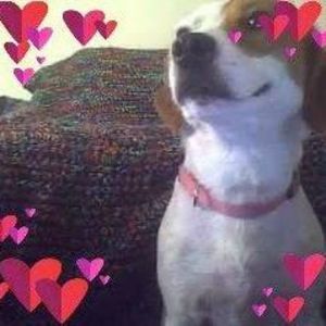 Meet your Posher, Kat